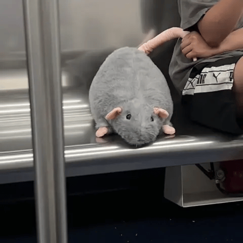 Fluffy Chonky Rat Plushie | Cute Stuffed Rat Toy